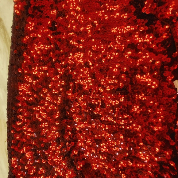 🔥Maner Women’s Full Sequin Glitter Party Blouse Size 4X🔥 - Picture 5 of 6